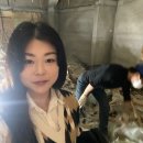 송파구철거 크린시티