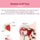 메가한의원