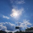 원천새싹길 이미지