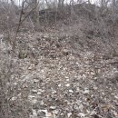 삼백농장 이미지