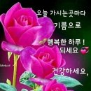 신나 ~신나부러 ~풍각쟁이가 풍기에 퍼집니다 ~~ 이미지