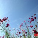 가을하늘 이미지