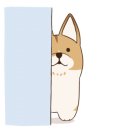 털보야채 이미지