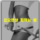 어베인휘트니스 이미지