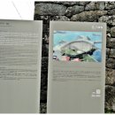 동산분식 - 강남구 테헤란로70길 16 | 동산분식