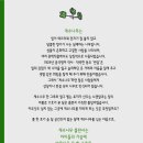 계수나무 이미지
