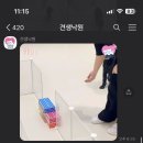 낙원유치원 이미지