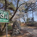 유선사 - 1278 | 유선사