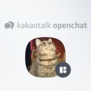 다래네일