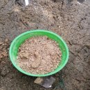 신장소류지 이미지