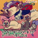 옷동산 이미지