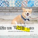 놀자 이미지