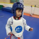 한우리태권도 이미지