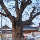 송산동-3 이미지