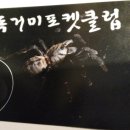 신촌 당구장 이미지