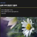 시편 66편 - 삶에 어찌 꽃길만 있을까 이미지