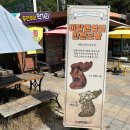 김삿갓면-39 이미지