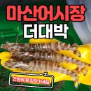 홍PC | 마산 어시장 해산물 더대박 에서 저렴하게 구매 하고 간편하게 찾아가세요!