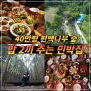 나무숲 이미지