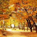 풍경공원 이미지