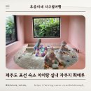 희애루 | 제주도 표선 숙소 추천 아이랑 실내 자쿠지 희애루