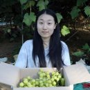 이수민농장 이미지