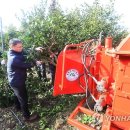 신효동-31 이미지