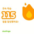 안터 이미지