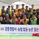 강릉농업협동조합 이미지