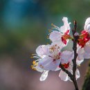 아침풍경 이미지