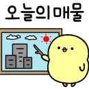 구지로R 이미지
