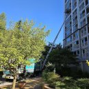 선산대로-40 | 구미이사 준비할 때 절대 놓치면 안 되는 포장이사 견적 꿀팁