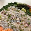 원주 횟집 추천 단구동 맛집 막회 본섬조개마을 포장 후기