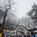 중국동포의집 | 우당탕탕 칭다오 여행기(5) - 소어산공원,완샹청 와이포지아