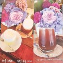 세종 조치원 카페 [단콩] 방문후기