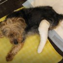 이지훈동물병원 이미지