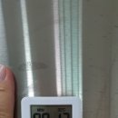 오남매쭈꾸미