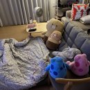24.08.10-31 부산여행, 현충원, 파주 문지리 535, 형부 생일모임, 다낭여행준비, 과천 애견카페 풀링...