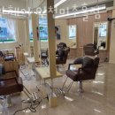 멍토피아 강아지분양 인천 본점 이미지