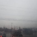 초석치과기공소 이미지