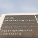 진로직업체험 지도사 2급 네이버블로그