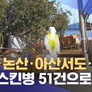 파주·논산·아산서도‥럼피스킨병 51건 이미지