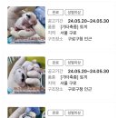 정샘 동물병원 | 토끼입양) 6월 포인핸드 : 유기는 살생입니다 🚫