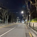 당산역사거리 교통섬 2 | 도쿄 여행 with me 1: 벚꽃, 자전거, 스시