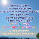 기분이당 이미지
