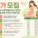4139 노컷뉴스