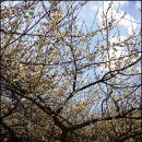 소소한향기 이미지