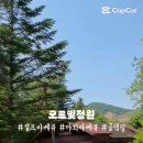 오르빛정원 이미지