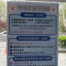 석촌호수동물병원 이미지
