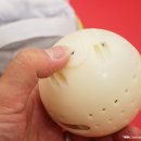 MIN 피트니스 이미지